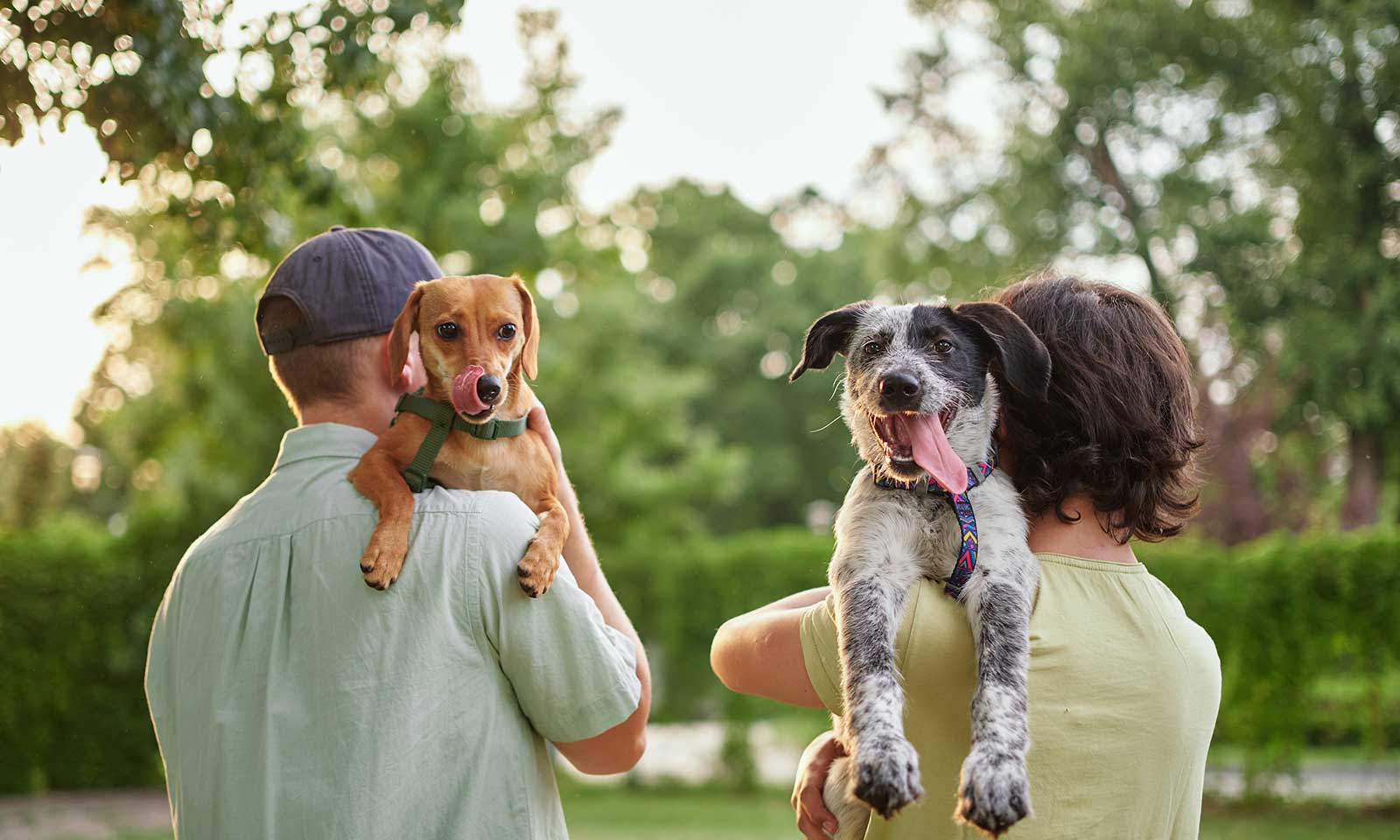 A couple holding their dogs