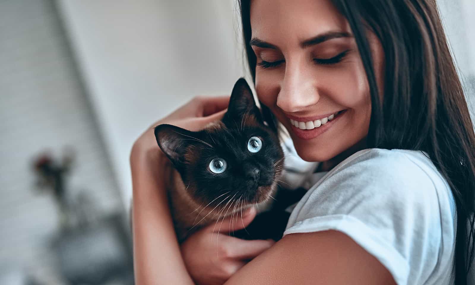 Cat and Owner